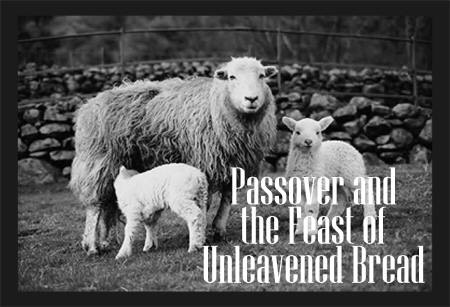 pass-lamb-article