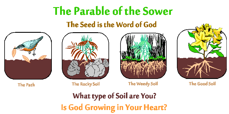 sower-seeds1